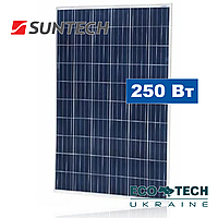 Suntech STP-250 солнечная панель (батарея, фотомодуль) поликристалл