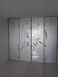 Шафа купе піскоструй на склі Київ і область, фото 7