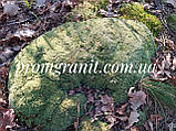 Мох натуральний лісовий, фото 2