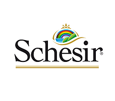 Schesir