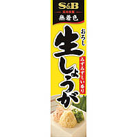 Имбирь японский тертый сырой SB в тюбике 40 гр