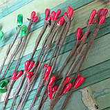 Гілочка верби 5 шт. із червоними тичинками гнучка 60 см, фото 4