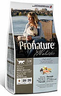 Pronature Holistic Atlantic Salmon & Brown Rice Cat, Корм для дорослих кішок 2,72 кг