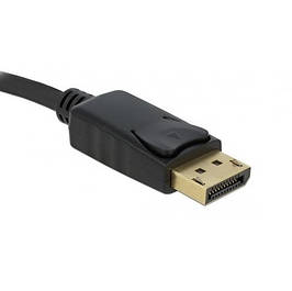 DisplayPort