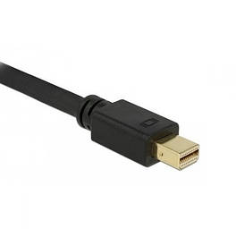 MiniDisplayPort