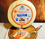 Сир касері з овечого молока "Флегга", фото 2