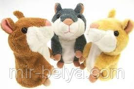 Мовець хом'як-повторюшка, фото 1