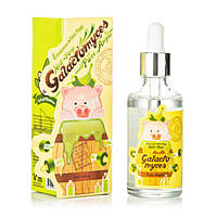 Сыворотка для лица Eflzavacce Witch Piggy Hell-Pore Galactomyces Pure Ample 100% 50 мл