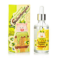 Сироватка для обличчя Elizavecca Witch Piggy Hell-Pore Galactomyces Pure Ample 100% 50 мл