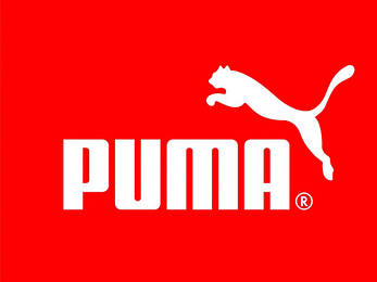 Костюм спортивний утеплений puma clean sweat suit, фото 2