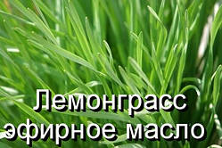Лемонграс-ефірна олія (натуральна) (Індія) — 10 мл
