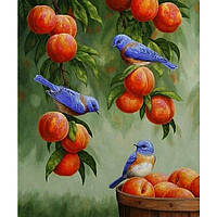 Картина за номерами «Дрозди і персики» ТМ ідейка арт. КНО2429