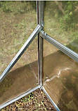 Теплиця "Дарина" 3х8м, труба 20х20мм з плівкою 150 мкм, фото 7