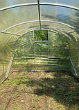 Теплиця "Дарина підсилена" 3х10м, труба 30х30мм з плівкою 120 мкм, фото 3