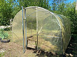 Теплиця "Дарина" 3х8м, труба 20х20мм з плівкою 150 мкм, фото 4