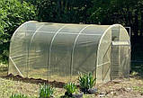 Теплиця "Дарина" 3х8м, труба 20х20мм з плівкою 120 мкм, фото 7