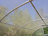 Теплиця "Дарина підсилена" 4х6м, труба 30х30мм з плівкою 150 мкм, фото 7