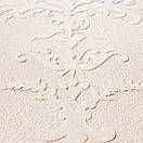 TRAVERTINO IN PASTA VENEZIA NATURALE 5 кг Декоративна штукатурка, фото 4