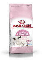 Корм Royal Canin Mother Babycat Роял Канін Мазе Енд Бебікет д / кошенят і годуючих кішок 4 кг