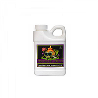 Advanced Nutrients Voodoo Juice (250ml)