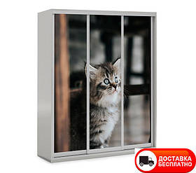 Шафа купе 3Д тридверна Котики 15, вибір кольору корпусу та малюнка