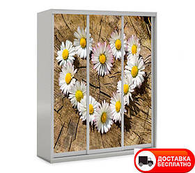 Шафа купе 3Д тридверна Квіти 16, вибір кольору корпусу та малюнка