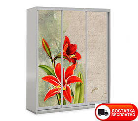 Шафа купе 3Д тридверна, Квіти 21 вибір кольору корпусу та малюнка