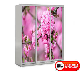 Шафа купе 3Д тридверна, Квіти 22 вибір кольору корпусу та малюнка