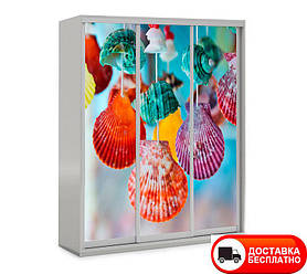 Шафа купе 3Д тридверна, Мушлі 24 вибір кольору корпусу та малюнка