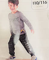 Дитячий реглан-лонгслів Lupilu для хлопчика 110/116