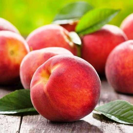 Саджанці Персика Інка — середній, морозостійкий, невибагливий