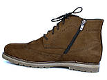 Черевики коричневі нубук зимова чоловіча взуття великих розмірів Rosso Avangard Whisper Brogue Brown Nub BS, фото 2