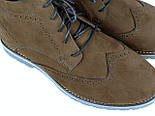 Черевики коричневі нубук зимова чоловіча взуття великих розмірів Rosso Avangard Whisper Brogue Brown Nub BS, фото 8