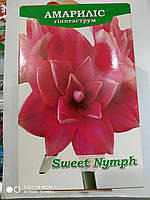 Гіпеаструм махровий Amaryllis Sweet Nymph 1 цибулина