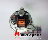 Вентилятор Hermann Habitat H035002931, фото 3