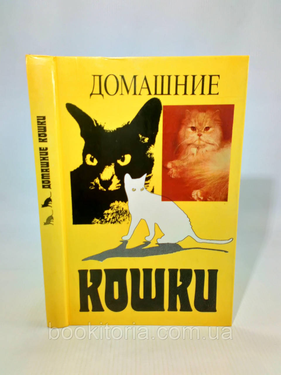 Домашні кішки (б/у).