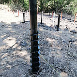 Геошуруп 76*350*1000, фото 7