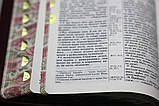Біблія бордо - квіткового дизайну, квітковий зріз та індекси, замочок (130х180 мм), фото 7