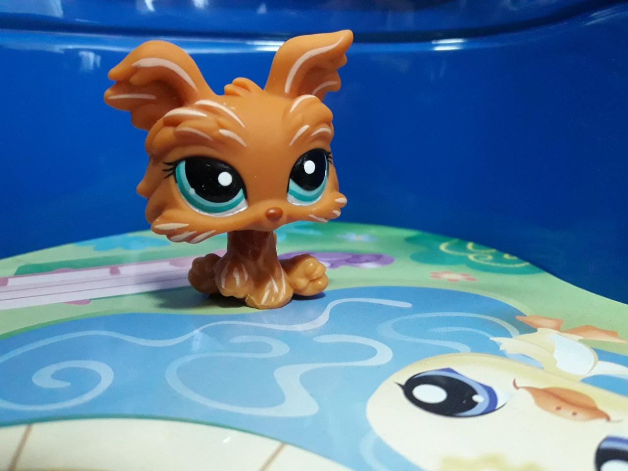Littlest Pet Shop Yorkshire Terrier Dog lps старая коллекция, цена 140 грн — Prom.ua (ID