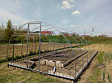 Каркас теплиці "Дарина" 4х6м, труба 20х20мм, фото 3