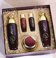 Антивіковий набір для обличчя зі стовбуровими клітинами Daandan Bit Premium Hanbang 3 Set, фото 3