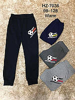 Детские спортивные брюки на флисе для мальчиков Active Sport,98-128 рр оптом HZ-7036