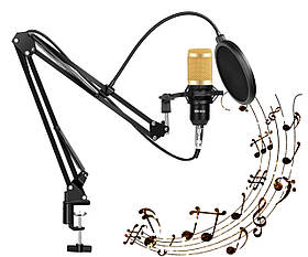 Мікрофон студійний DM-800 U