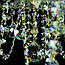 Велика чеська кришталева люстра на ланцюгу для великої вітальні, холу на 16 лампочок Андула dia 1000, фото 3