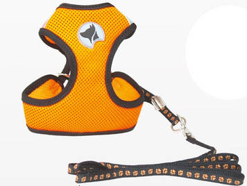 Набір HIKING PARURE, регульована шлея + повідець, помаранчевих, нейлон,