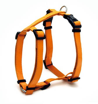 Шлея GLOSSY H, оранж, кожзам/нейлон,