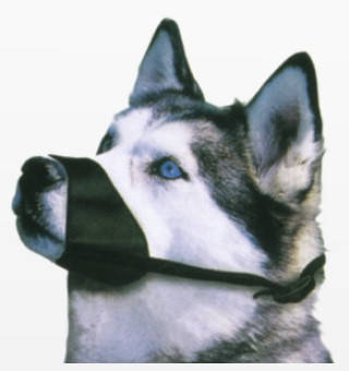 Намордник нейлоновий №2 для кокер спанієль, бігль, морда 16*22*9см *