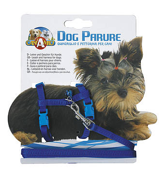 Набір шлея+повідець FLUO, 3 кольори, нейлон, 19-31х0,8см / 0,8х120см * *