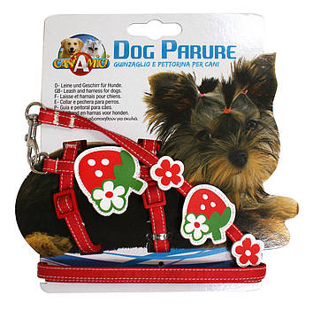 Набір шлея+повідець STRAWBERRY, червоний, нейлон, 20-29х1см / 1х120см *