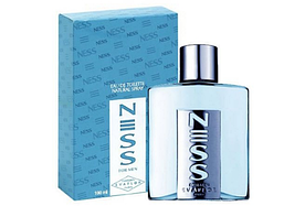 Evaflor Ness Туалетна вода чоловіча, 100 мл (Евафлор Несс)